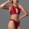 Shark Polewear Cherry Top - Wine -Radd Pole Wear Shop 09.12.20 06805 21d29aca b863 4d88 a316 9618e03097c0