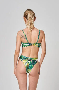 Shark Polewear Boston Shorts - Green Fern 11 Shark Polewear Boston Shorts - Green Fern -Radd Pole Wear Shop 15.07.20 03139