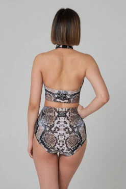 Shark Polewear High Waist Shorts - Snake -Radd Pole Wear Shop 21.12.20 07675