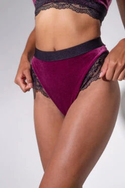 Sorte Velvet Adore Shorts - Plum -Radd Pole Wear Shop ADORE 27