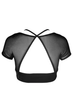 Hamade Activewear Mesh Hollow Front Crop Top - Black 9 Hamade Activewear Mesh Hollow Front Crop Top - Black -Radd Pole Wear Shop AW04 2