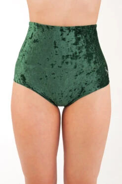 Dragonfly Betty High-Waisted Shorts - Velvet Emerald 13 Dragonfly Betty High-Waisted Shorts - Velvet Emerald -Radd Pole Wear Shop DF Velvet Betty shorts emerald 1