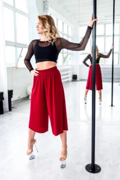 REV ACTIV Mesh Long Sleeved Crop Top - Black 9 REV ACTIV Mesh Long Sleeved Crop Top - Black -Radd Pole Wear Shop IMG 6339 1 793feba1 083c 4f70 a3c9 3d16b9cb4dea 1