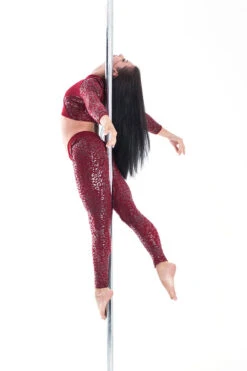 Paradise Chick Superhero Series Ultra Grip Crop Top - Cherry Leopard 20 Paradise Chick Superhero Series Ultra Grip Crop Top - Cherry Leopard -Radd Pole Wear Shop MG 1963 copy