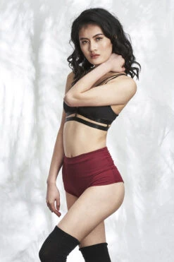 Lunalae High Waist Shorts - Wine -Radd Pole Wear Shop Shot 20 009