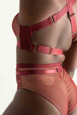 Tatiana Activewear Yuki Shorts - Burgundy Mesh 12 Tatiana Activewear Yuki Shorts - Burgundy Mesh -Radd Pole Wear Shop TatianaActive YukiBurgundyMeshPoleWearSet 7734