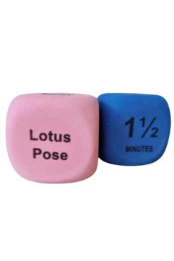 The Enviro Co. Pole Dice - Flexibility 15 The Enviro Co. Pole Dice - Flexibility -Radd Pole Wear Shop Untitleddesign 2022 05 11T135515 059 1024x1024 2x png