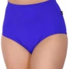 Cleo The Hurricane Essential High Waisted Shorts - Majesty Blue 1 Cleo The Hurricane Essential High Waisted Shorts - Majesty Blue -Radd Pole Wear Shop ess hw mb3 533x742 8ba2568d c72a 4d62 a40e 7cf46ffa8cb8