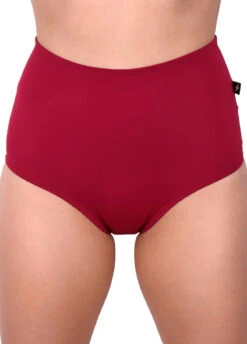 Cleo The Hurricane Essential High Waisted Shorts - Merlot 7 Cleo The Hurricane Essential High Waisted Shorts - Merlot -Radd Pole Wear Shop ess hw mer3