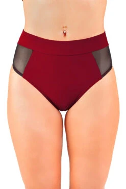 Dragonfly Molly Shorts - Burgundy Mesh 9 Dragonfly Molly Shorts - Burgundy Mesh -Radd Pole Wear Shop msr1