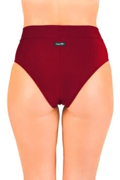 Dragonfly Molly Shorts - Burgundy Mesh 8 Dragonfly Molly Shorts - Burgundy Mesh -Radd Pole Wear Shop msr3