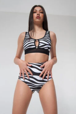 Pole Addict High Waisted Shorts - Zebra -Radd Pole Wear Shop zebra1
